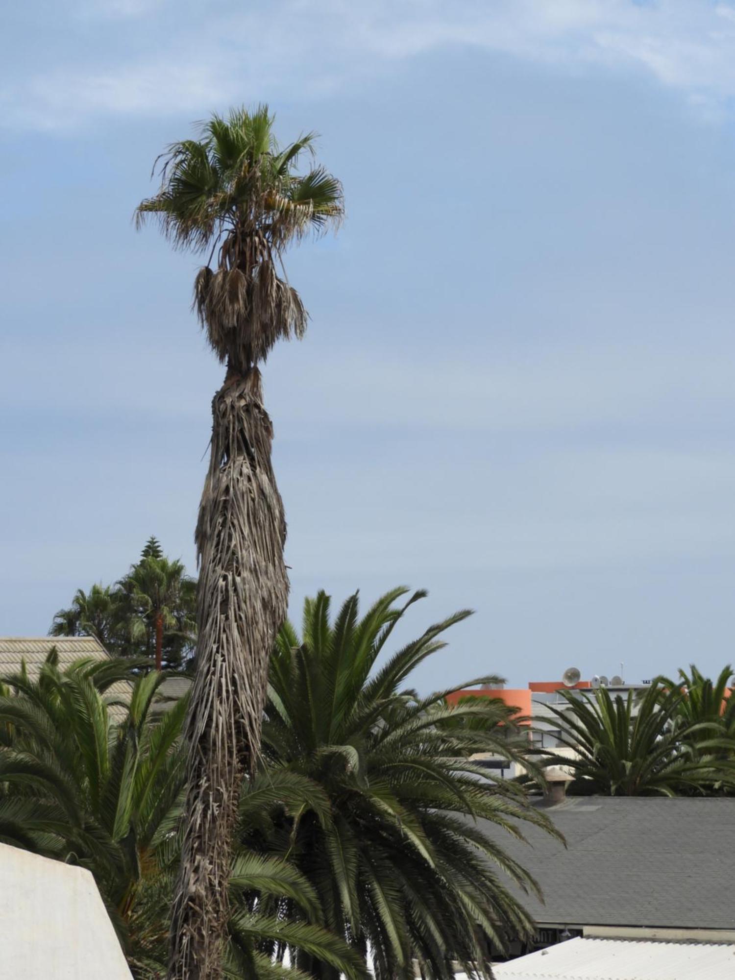 Central Self Catering Swakopmund Esterno foto